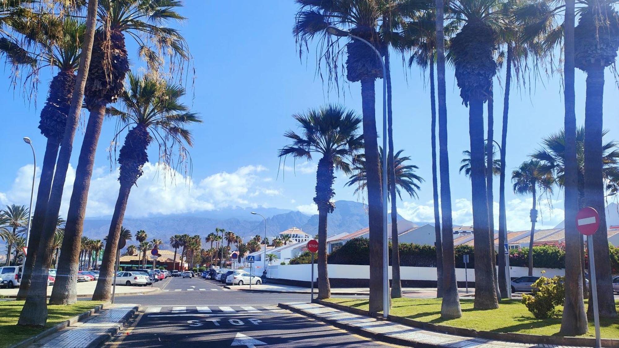 Parque Santiago 2 En Playa De Las Americas أرونا المظهر الخارجي الصورة