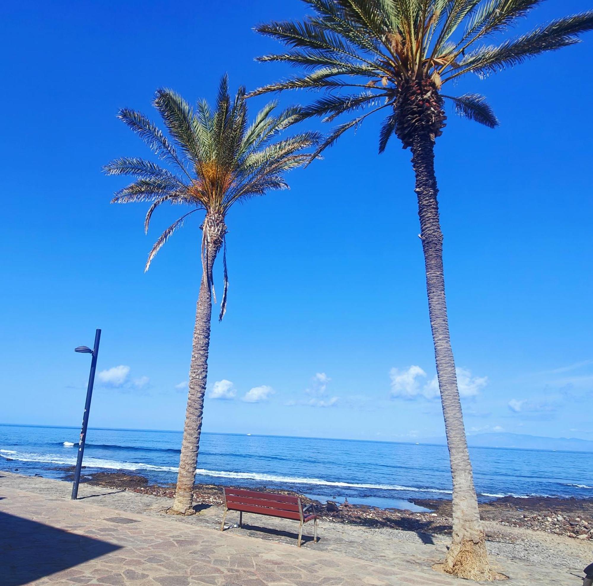 Parque Santiago 2 En Playa De Las Americas أرونا المظهر الخارجي الصورة